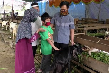 Habibi berkurban kambing dari hasil menabung 5 tahun