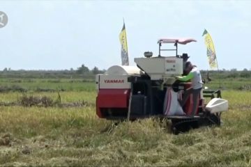 Peran pengembangan desa dalam pemulihan ekonomi nasional