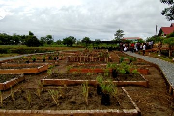 UTU kembangkan tanaman herbal