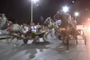 Menyaksikan pacuan kereta kuda di keramaian jalan di Kairo