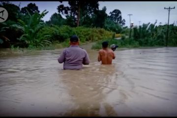 Banjir bandang terjang dua dusun di Kalimantan Barat