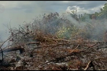 Petugas padamkan kebakaran lahan gambut di Palangka Raya