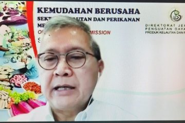 KKP sebut urus surat izin usaha pengolahan ikan lebih mudah