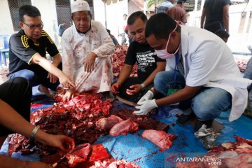 Pengawasan kesehatan daging kurban