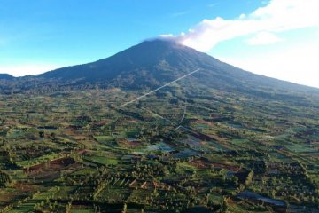 Laju deporestasi hutan dan lahan