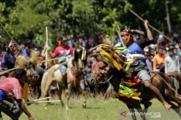 Tarik wisatawan, Sumba Barat lengkapi fasilitas tonton atraksi pasola