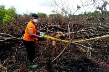 Polisi selidiki kebakaran hutan-lahan di Palangka Raya