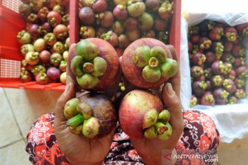 Pemerintah tingkatkan kemitraan pengembangan hortikultura