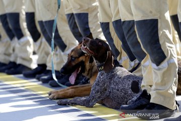 Bantuan tim anjing pelacak Republik Ceko untuk Beirut