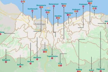 Pasien sembuh dari COVID-19 di Probolinggo capai 82,75 persen