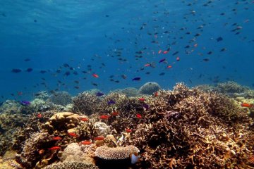 Gorontalo usulkan sejumlah kawasan menjadi geopark nasional