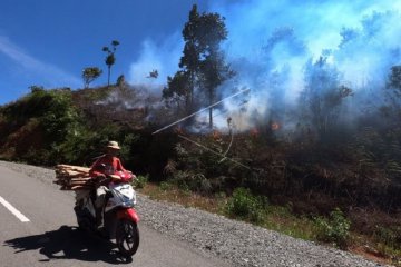 258 desa di Jambi rawan karhutla