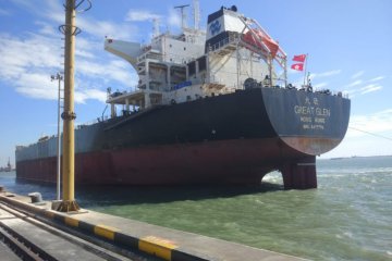 Kapal muatan 71.582 ton pakan ternak sandar di Terminal Teluk Lamong