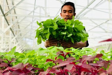 Aquagriculture disebut solusi ancaman krisis pangan di tengah pandemi