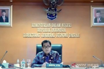 Dirjen Otda usul Menpan undur waktu pengalihan eselon tingkat daerah