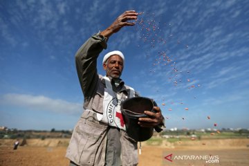 Israel tutup perlintasan Gaza setelah Palestina kirim balon pembakar