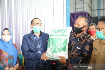 Komisi IV dukung sentra padi terpadu lewat program Kostraling Kementan