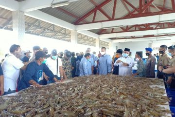 Menteri Edhy: Pemerintah beri kemudahan izin perusahaan tambak udang