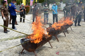 Pemusnahan ganja dan sabu