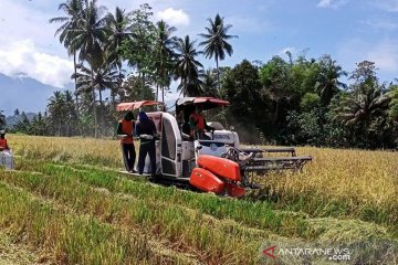 Kinerja pertanian perlu lebih ditopang modernisasi teknologi