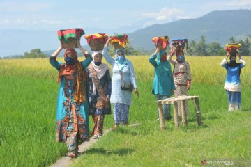 Festival Budaya Batipuh