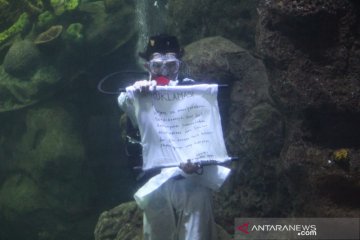 Manajemen Ancol siapkan pengibaran bendera merah putih di dalam air