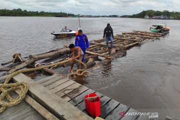 Polda Kalimantan Barat sita 1.000 batang kayu log ilegal