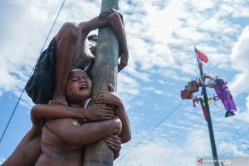 Lomba panjat pinang HUT RI