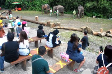 Wisatawan kunjungi Taman Safari Indonesia di Cisarua