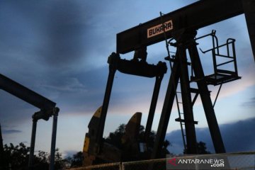 Pertamina Jambi tembus produksi 3.553 barel minyak per hari