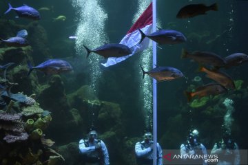 Upacara HUT Kemerdekaan RI di Sea World Ancol