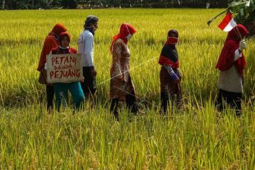 Upacara peringatan HUT RI oleh para petani