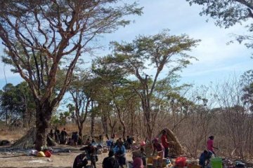 LPA: Korban penggusuran di Pubabu tinggal di bawah pohon