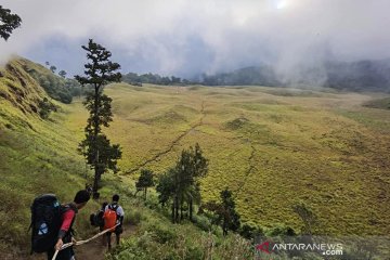 Kementerian LHK izinkan wisata pendakian Gunung Rinjani Lombok
