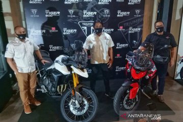 Lima motor Triumph terbaru masuk Indonesia, apa saja?