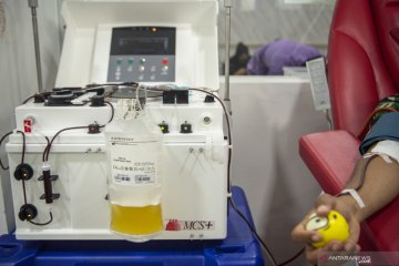 Donor Plasma Konvalesen pasien sembuh COVID-19