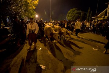Pura Mangkunegaran Surakarta tiadakan Kirab Malam Satu Sura