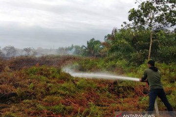 Enam hektare lahan gambut di Aceh Barat terbakar