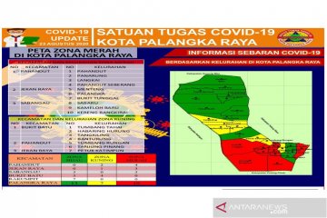 10 Kelurahan di Palangka Raya masih zona merah COVID-19