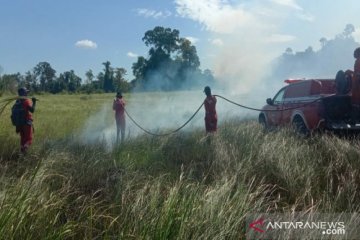 Kawasan Taman Nasional Rawa Aopa terbakar