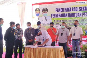 Pupuk Kaltim gagas Agro Solution, tingkatkan produktivitas padi