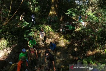 Macan tutul dilepasliarkan di Gunung Sawal Kabupaten Ciamis