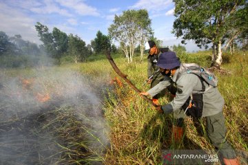 Pemadaman Kebakaran Lahan Gambut Di Kalsel