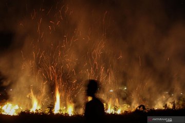 Walhi Sumsel minta Satgas Karhutla pembasahan daerah rawan