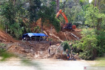 Aktivitas penambangan emas ilegal marak di Aceh Barat