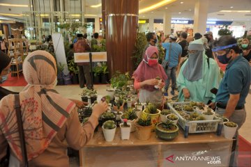 Festival tanaman hias di pusat perbelanjaan