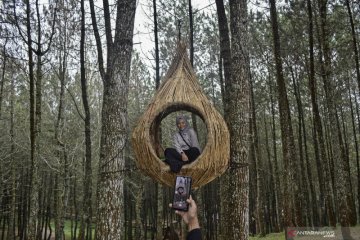 Wisata Kamojang Ecopark