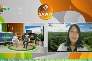 Produsen: Kampanye negatif sawit sasar generasi milenial