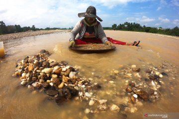 Penambang emas tradisional di Jambi