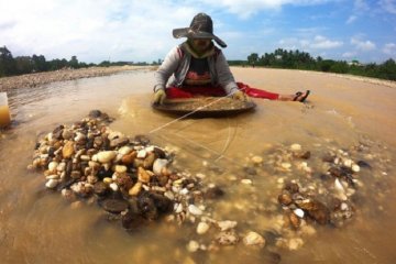 Penambang emas tradisional di Sarolangun